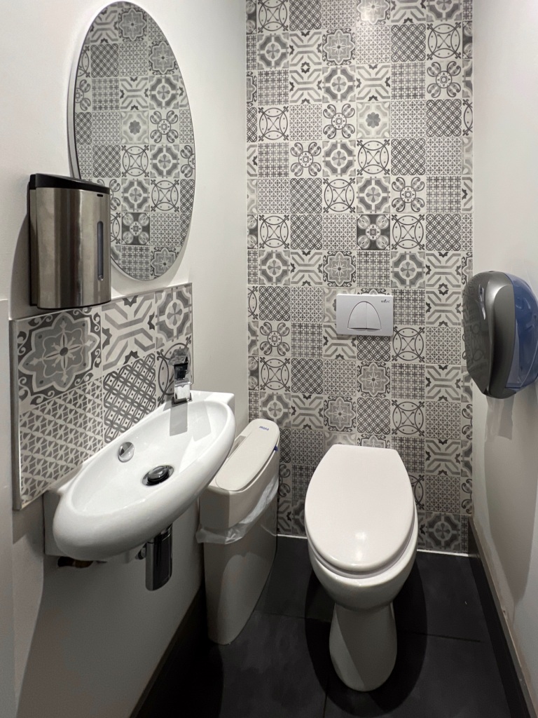 A cludgie, with the sink and mirror on the left, and the cludgie itself towards the right. The back wall and the area immediately above the sink have patterned grey tiles on them.